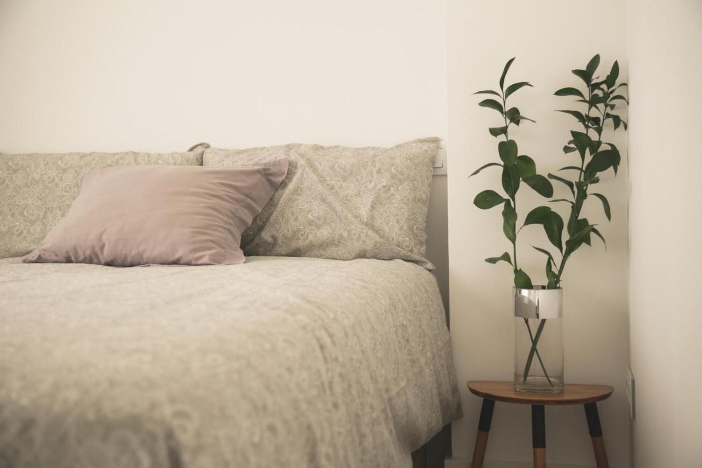 סנטנדר Romantico Apartamento En El Centro מראה חיצוני תמונה